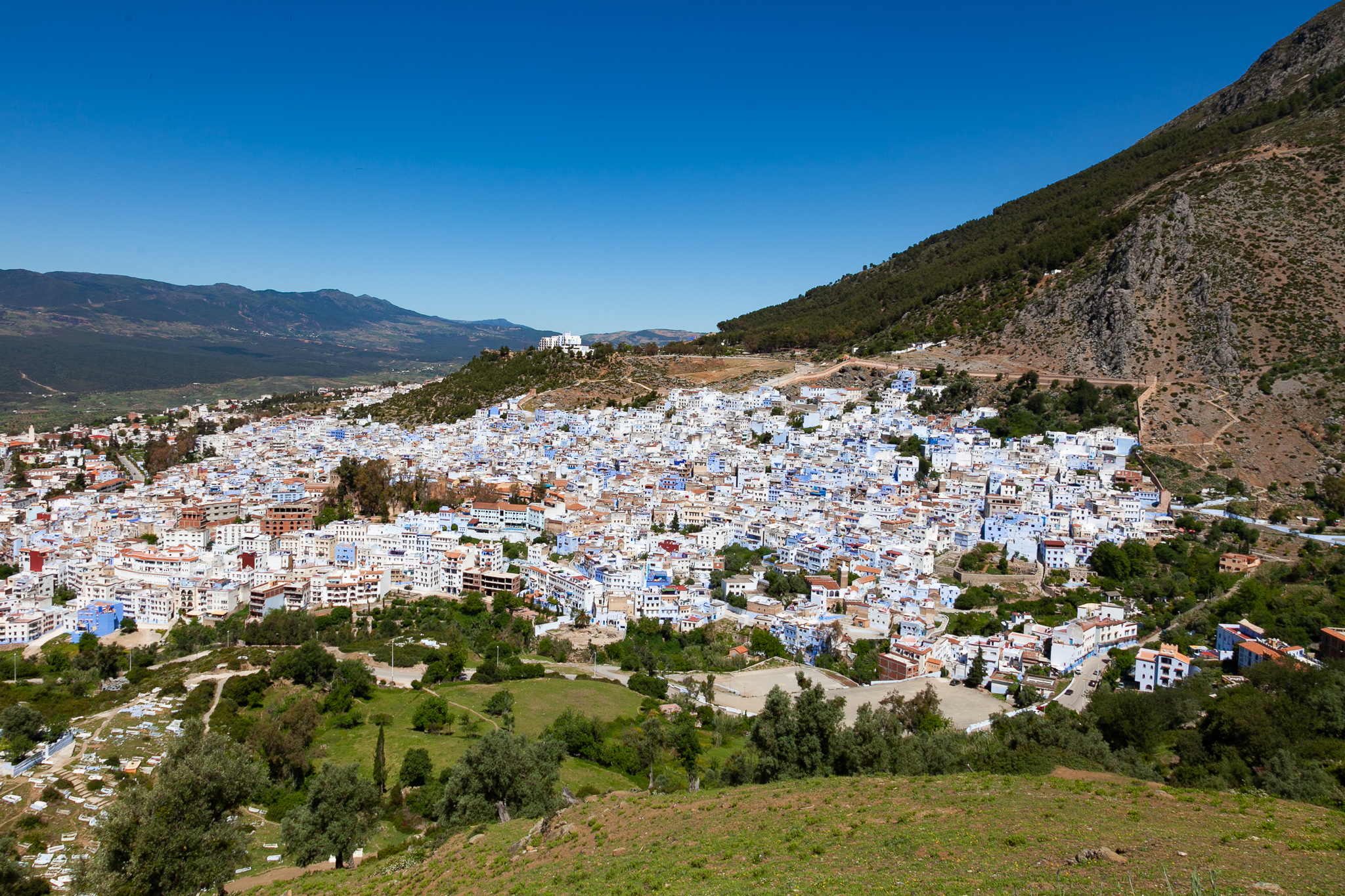 IMG 0416