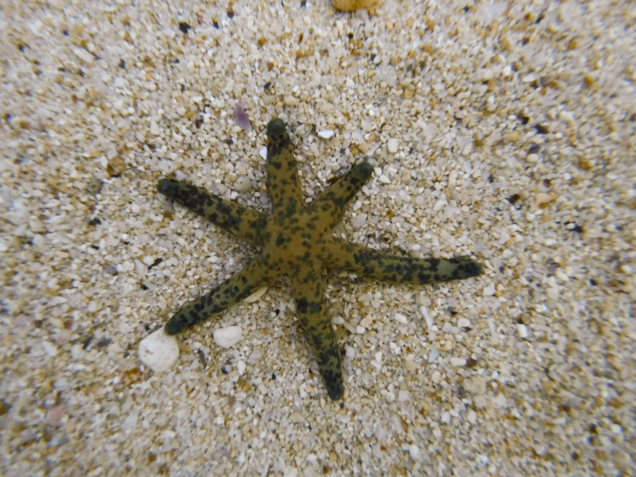 DSCF0305