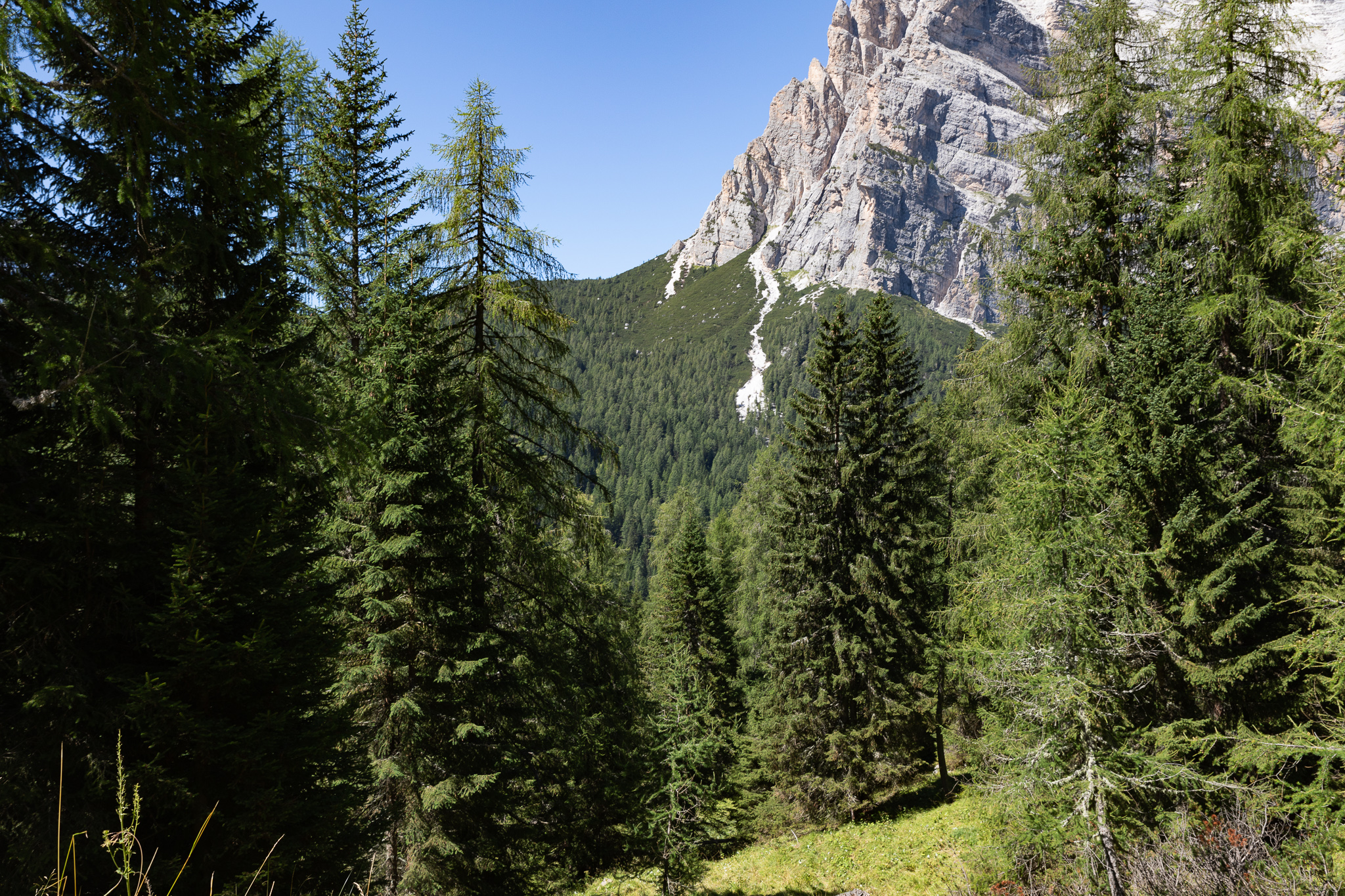 IMG 0985