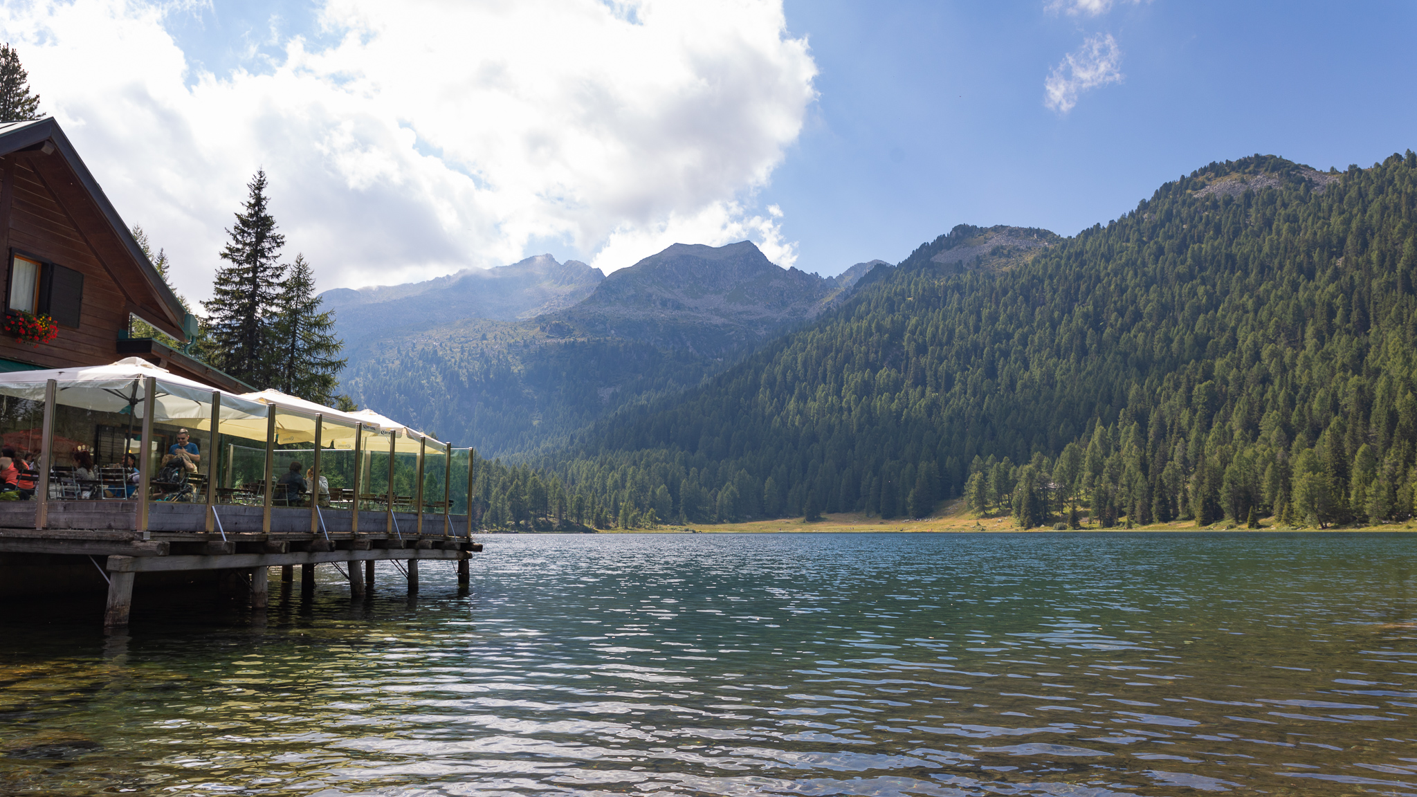 IMG 3626