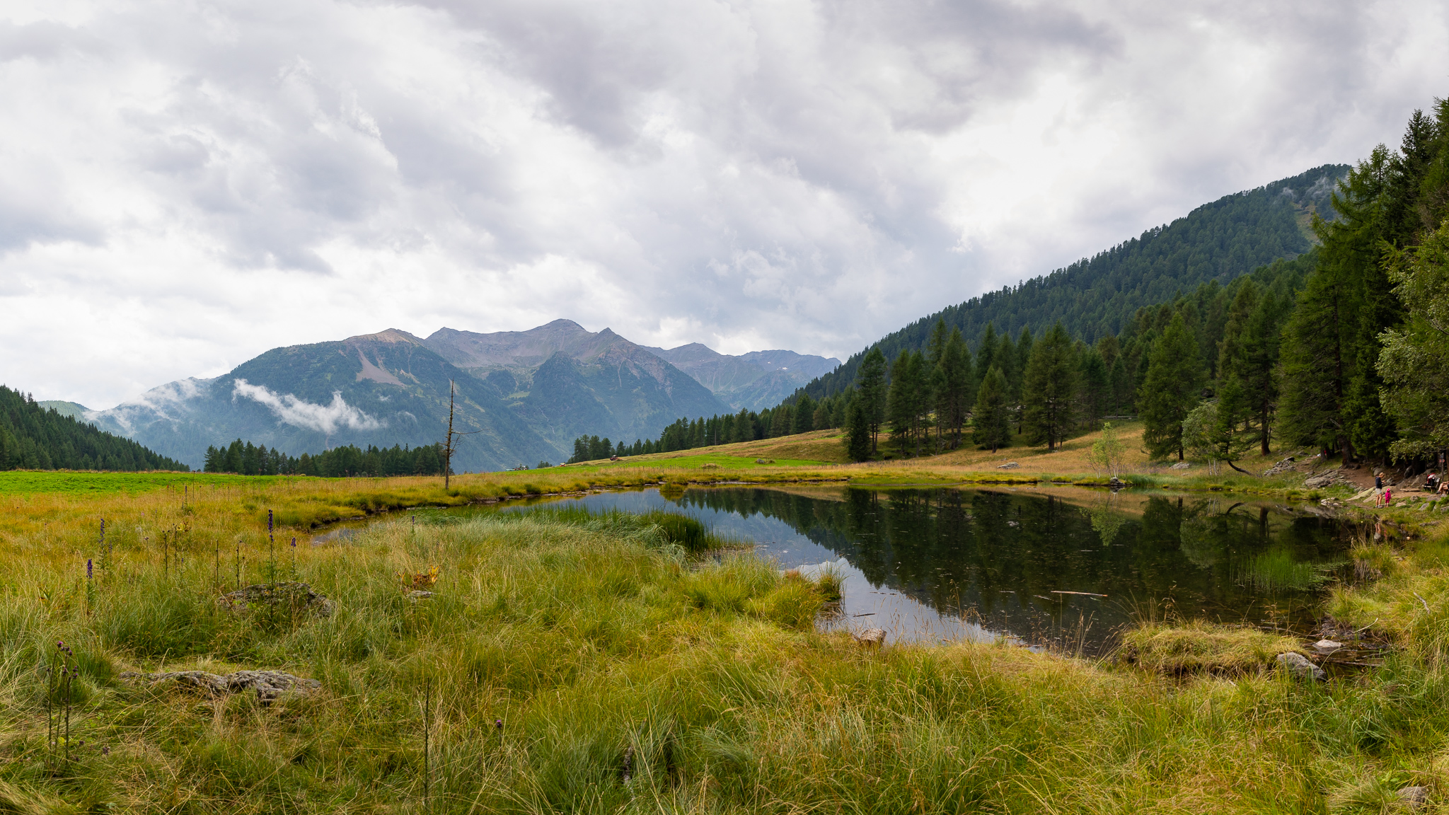 IMG 3871 Pano