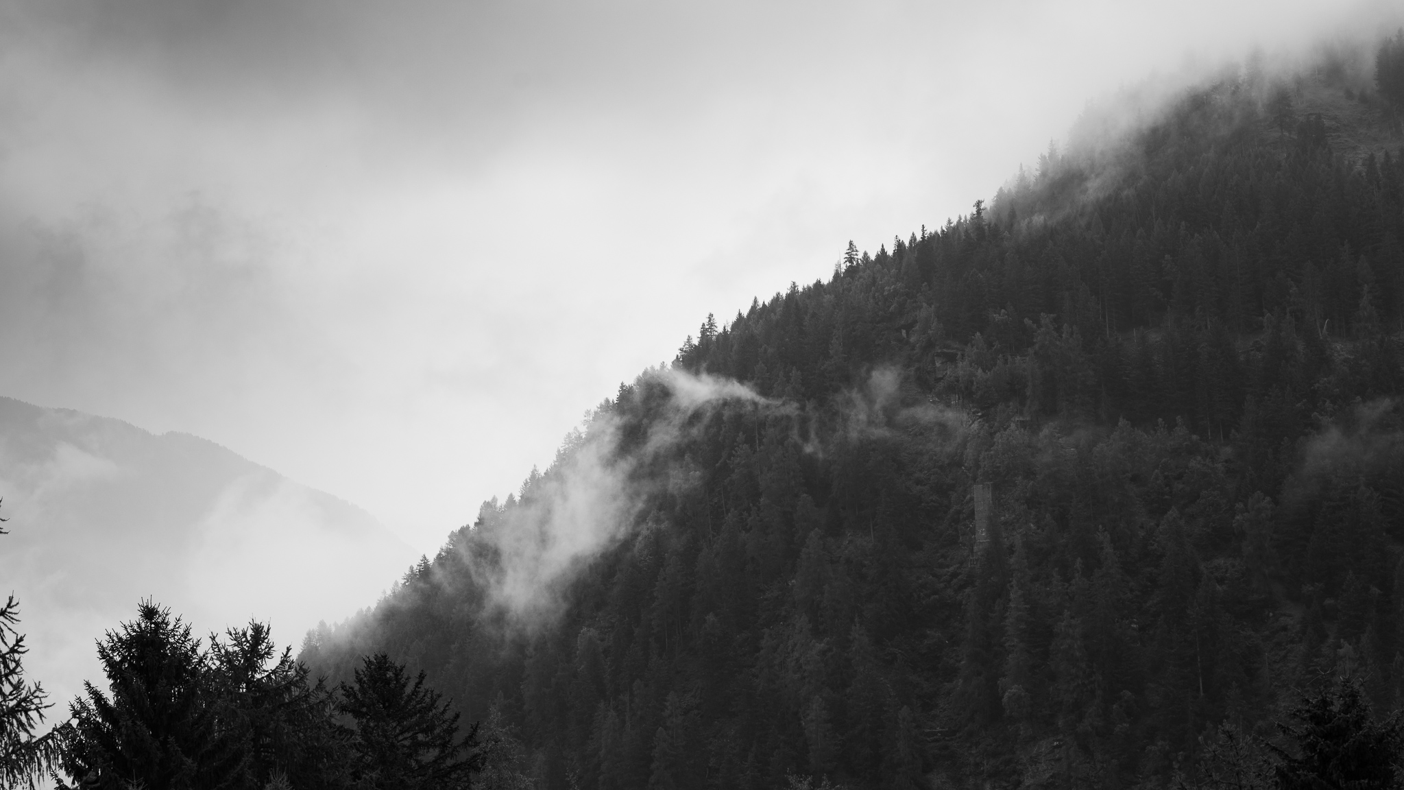 IMG 3755