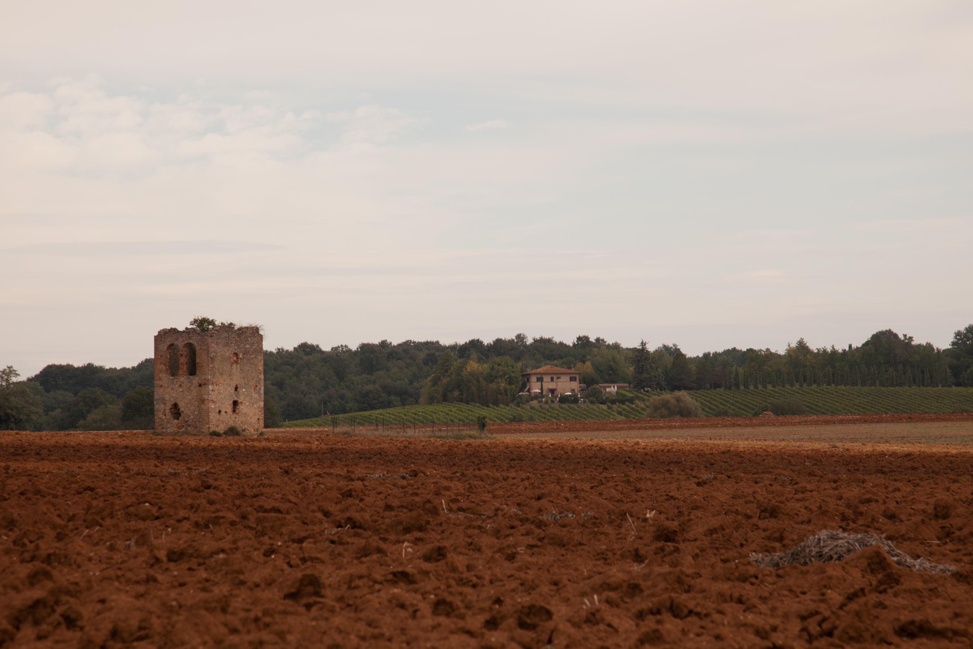 Terra Rossa Nel Senese 2