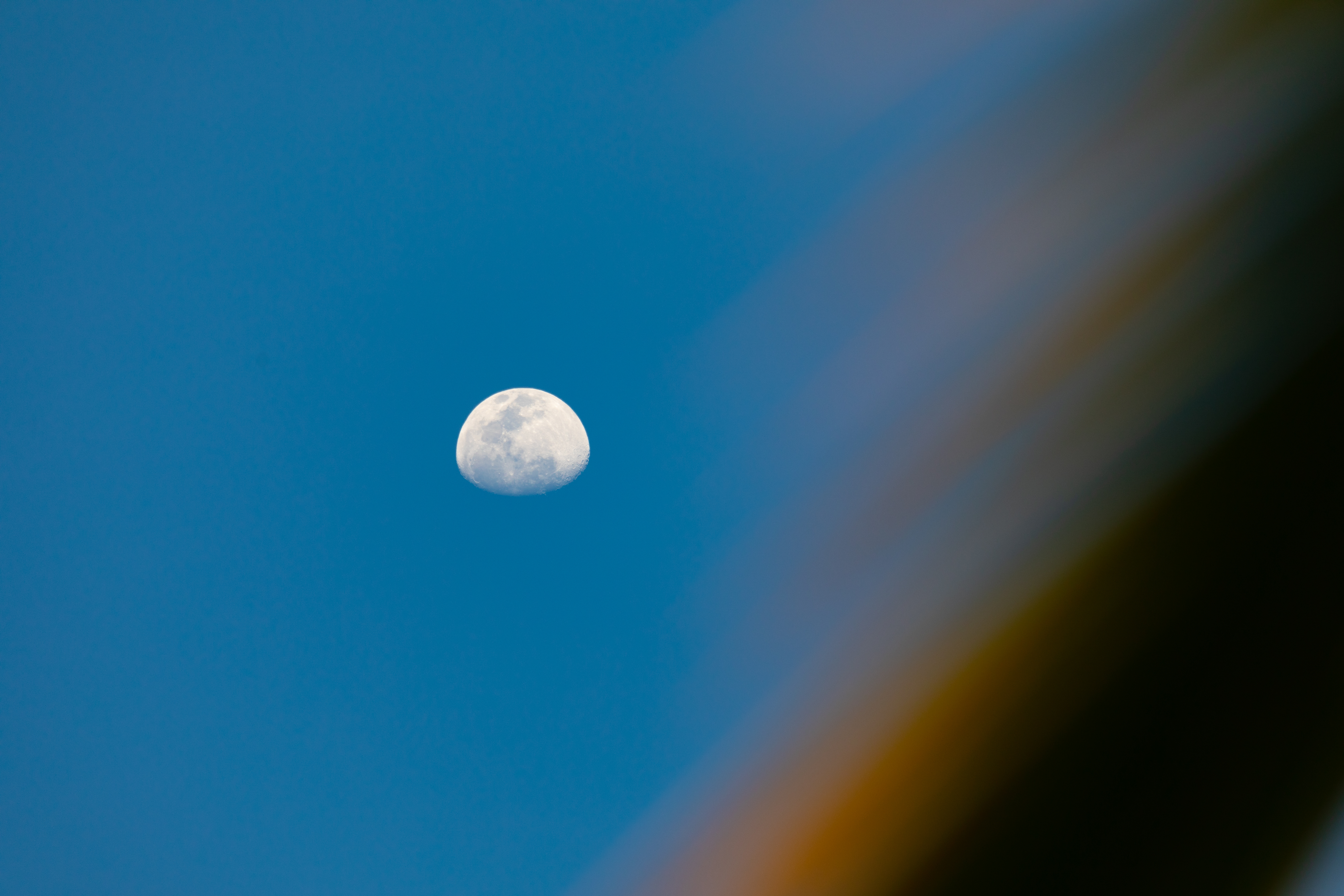 Luna da sotto una palma